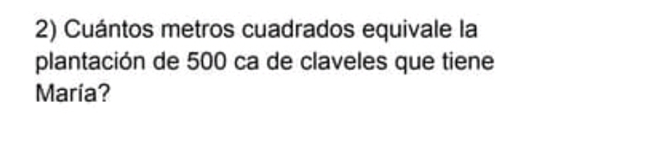 Cuántos metros cuadrados equivale la 
plantación de 500 ca de claveles que tiene 
María?