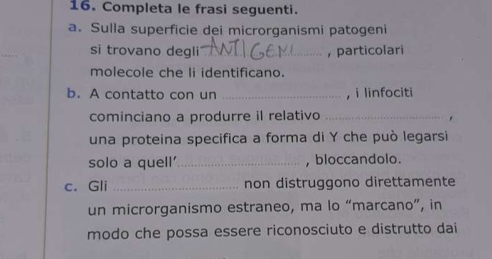 Completa le frasi seguenti. 
a. Sulla superficie dei microrganismi patogeni 
si trovano degli __， particolari 
molecole che li identificano. 
b. A contatto con un _, i linfociti 
cominciano a produrre il relativo _' 
una proteina specifica a forma di Y che può legarsi 
solo a quell'_ , bloccandolo. 
c. Gli _non distruggono direttamente 
un microrganismo estraneo, ma lo “marcano”, in 
modo che possa essere riconosciuto e distrutto dai