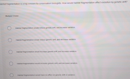 Sabitat fragmentation is a big concern to conservation biologists. How would habitat fragmentation affect evolution by genetic drift
Multiple Choïice
Habital fragmentation would reduce genetic drift, and increase varation.
Habitat fragmentation would reduce genetic drif, and decrease vanation.
Habitst fragmentation would increase genetic drif, and increase vasation.
Habla fragmentation would increase genesc drift, and decrease variation
i abital fragmentation would have no effect on genetic deft or variation.