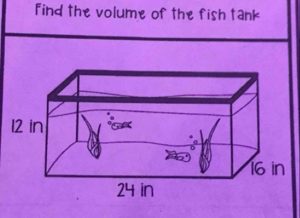 Find the volume of the fish tank