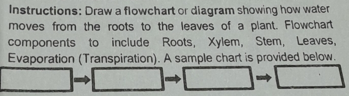 Solved: Instructions: Draw a flowchart or diagram showing how water ...