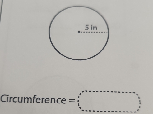 Circumference =□