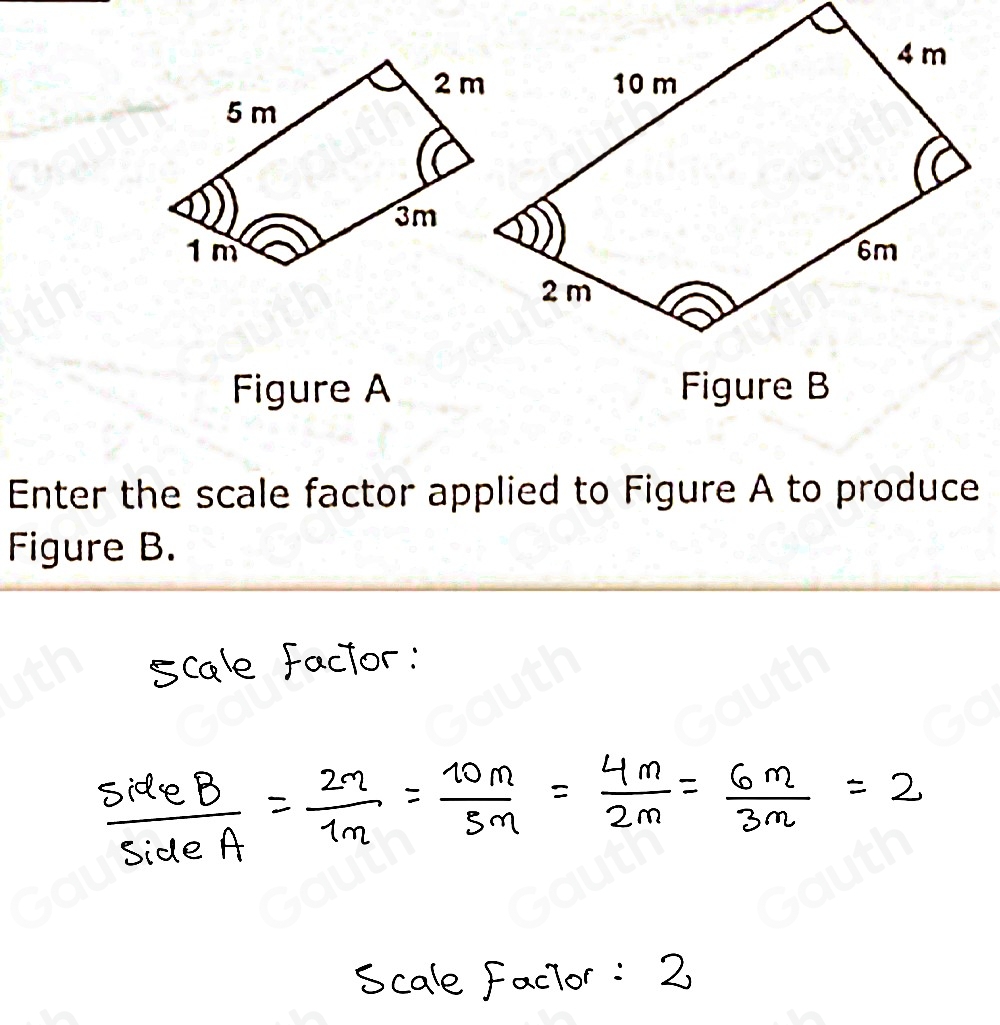 Solved: C1 Figure B is a scale image of Figure A, as shown. Figure A ...