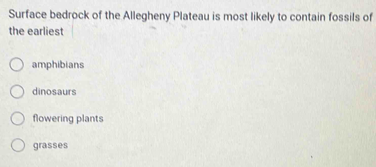 Surface bedrock of the Allegheny Plateau is most likely to contain fossils of
the earliest
amphibians
dinosaurs
flowering plants
grasses