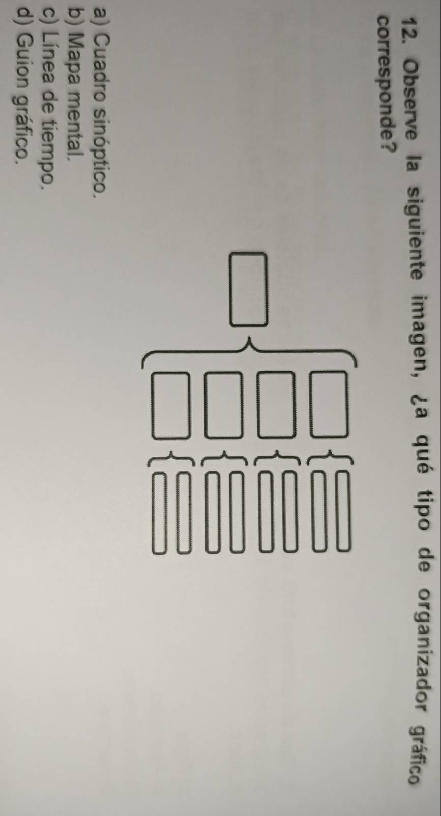 Observe la siguiente imagen, ¿a qué tipo de organizador gráfico
corresponde?
□ beginarrayl □ ,□ ,□  □ ,□ □  □ □ ,□ □  □ □ ,□ □ endarray.
a) Cuadro sinóptico.
b) Mapa mental.
c) Línea de tiempo.
d) Guion gráfico.