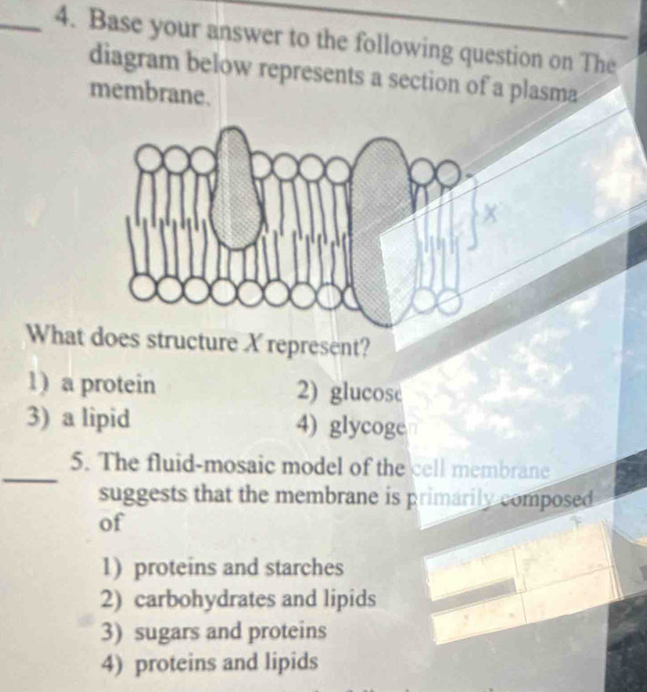 Base your answer to the following question on The
diagram below represents a section of a plasma
membrane.
What does structure X represent?
1) a protein 2) glucosc
3) a lipid 4) glycoge
_
5. The fluid-mosaic model of the cell membrane
suggests that the membrane is primarily composed
of
1) proteins and starches
2) carbohydrates and lipids
3) sugars and proteins
4) proteins and lipids