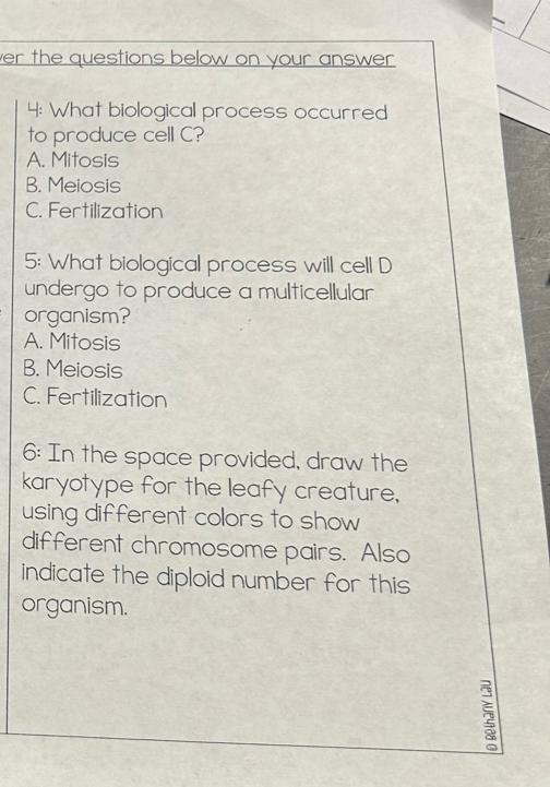 er the questions below on your answer .
4: What biological process occurred
to produce cell C?
A. Mitosis
B. Meiosis
C. Fertilization
5: What biological process will cell D
undergo to produce a multicellular
organism?
A. Mitosis
B. Meiosis
C. Fertilization
6: In the space provided, draw the
karyotype for the leafy creature.
using different colors to show
different chromosome pairs. Also
indicate the diploid number for this
organism.