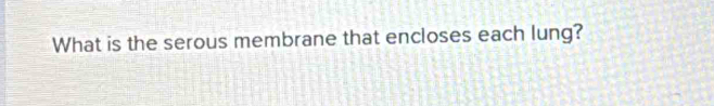 What is the serous membrane that encloses each lung?