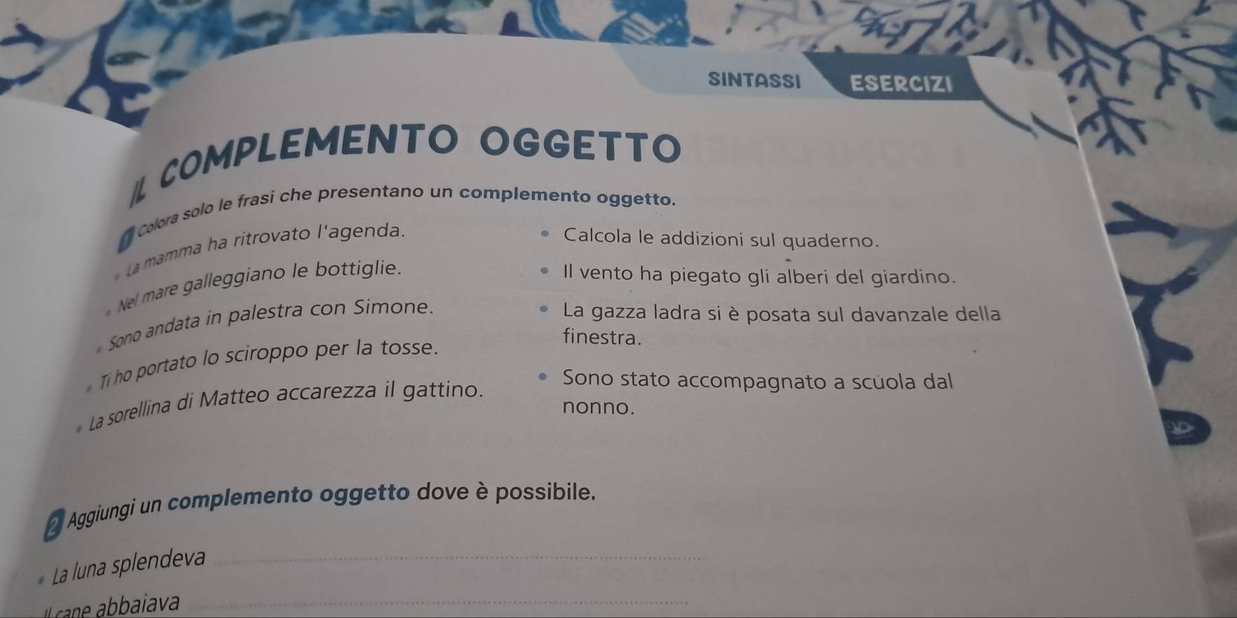 SINTASSI ESERCIZI 
/ COMPLEMENTO OGGETTO 
Colora solo le frasi che presentano un complemento oggetto. 
a 
La mamma ha ritrovato l'agenda. Calcola le addizioni sul quaderno. 
Nel mare galleggiano le bottiglie. Il vento ha piegato gli alberi del giardino. 
Sono andata in palestra con Simone. La gazza ladra si è posata sul davanzale della 
finestra. 
Ti ho portato lo sciroppo per la tosse. 
La sorellina di Matteo accarezza il gattino. 
Sono stato accompagnato a scúola dal 
nonno. 
Aggiungi un complemento oggetto dove è possibile. 
La luna splendeva_ 
c baiava_