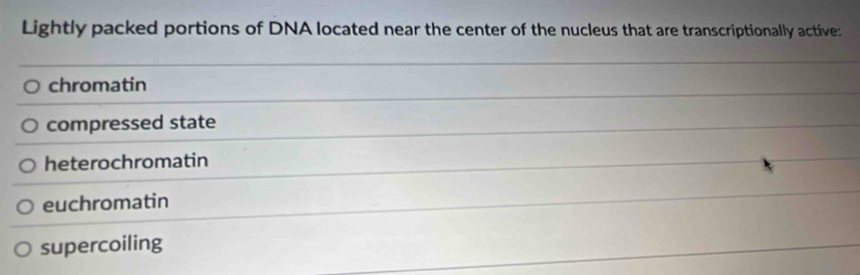 Lightly packed portions of DNA located near the center of the nucleus that are transcriptionally active
chromatin
compressed state
heterochromatin
euchromatin
supercoiling
