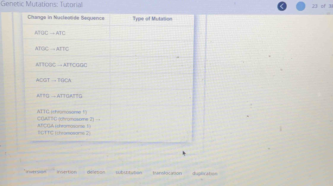 Genetic Mutations: Tutorial 23 of 38
inversion insertion deletion substitution translocation duplication