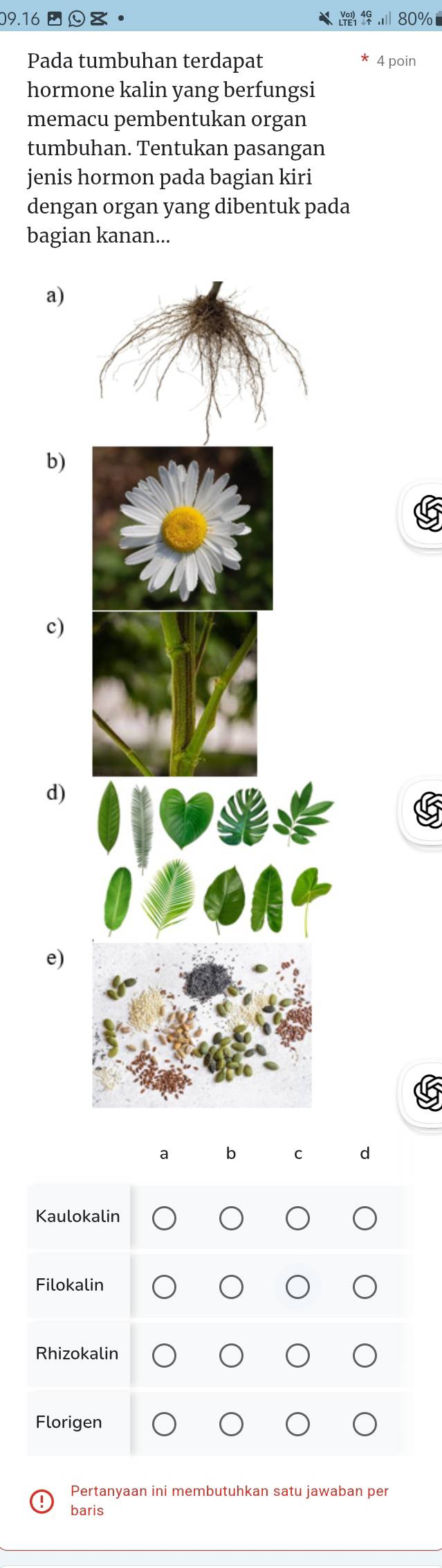 09. 16 。 80%
Pada tumbuhan terdapat 4 poin
hormone kalin yang berfungsi
memacu pembentukan organ
tumbuhan. Tentukan pasangan
jenis hormon pada bagian kiri
dengan organ yang dibentuk pada
bagian kanan...
a)
b)
c)
d)
e)
a 6 C d
Kaulokalin
Filokalin
Rhizokalin
Florigen
Pertanyaan ini membutuhkan satu jawaban per
baris
