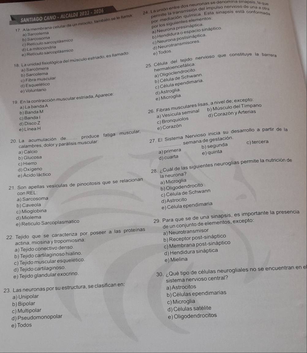 SANTIAGO CANO - ALCALDE 2023 - 2026  24. La unión entre dos neuronas se denomina sinapsis, la que
por mediación química. Esta sinapsis está conformada
17. A la membrana celular de un miocito, también se le llama permite la transmisión del impulso nervioso de una a otra
por los siguientes elementos:
a) Neurona presináptica.
b) Hendidura o espacio sináptico.
b) Sarcosoma a) Sarcolema
d) Neurotransmisores.
d) La mitocondra c) Retículo sarcoplásmico
c) Neurona postsináptica.
e) Retículo sarcoplásmico
18. La unidad fisiológica del músculo estriado, es llamado: e) Todos.
b) Sarcolema  25. Célula del tejido nervioso que constituye la barrera
a) Sarcómera
hermatoencefálica:
a) Oligoclendrocito.
b) Célula de Schwann.
c) Fibra muscular
d) Esquelético
e) Voluntario
d)Astroglia. c) Célula ependimaria.
e) Microglia.
19. En la contracción muscular estriada, Aparece:
26. Fibras musculares lisas, a nivel de; excepto:
a) La banda A
a) Vesícula seminal b) Músculo del Tímpano
b) Banda M
c) Banda I
d) Corazón y Arterias
e) Corazón c) Bronquiolos
d) Disco Z
e) Linea H
_
27. El Sistema Nervioso inicia su desarrollo a partir de la
20. La acumulación de_ … produce fatiga muscular,
calambres, dolor y parálisis muscular:
semana de gestación.
b) segunda c) tercera
a) Calcio a) primera
e) quinta
b) Glucosa d) cuarta
c) Hierro
d)Oxigeno
28. ¿Cuál de las siguientes neuroglias permite la nutrición de
e) Ácido láctico
a) Microglia
21. Son apellas vesículas de pinocitosis que se relacionan la neurona?
b) Oligodendrocito
con REL:
c) Célula de Schwann
a) Sarcosoma
d)Astrocito
b) Caveola
e) Célula ependimaria
c) Mioglobina
d) Miolema
e) Reticulo Sarcoplasmatico
29. Para que se de una sinapsis, es importante la presencia
22. Tejido que se caracteriza por poseer a las proteinas de un conjunto de elementos, excepto:
a) Neurotransmisor
actina, miosina y tropomiosina:
a) Tejido conectivo denso. b) Receptor post-sináptico
b) Tejido cartilaginoso hialino. c) Membrana post-sináptico
c) Tejido muscular esquelético. d) Hendidura sináptica
e) Mielina
d) Tejido cartilaginoso.
e) Tejido glandular exocrino.
30. ¿Qué tipo de células neurogliales no se encuentran en el
23. Las neuronas por su estructura, se clasifican en: sistema nervioso central?
a) Unipolar a)Astrocitos
b) Bipolar b) Células ependimarias
c) Multipolar c) Microglia
d) Pseudomonopolar d) Células satélite
e) Todos e) Oligodendrocitos