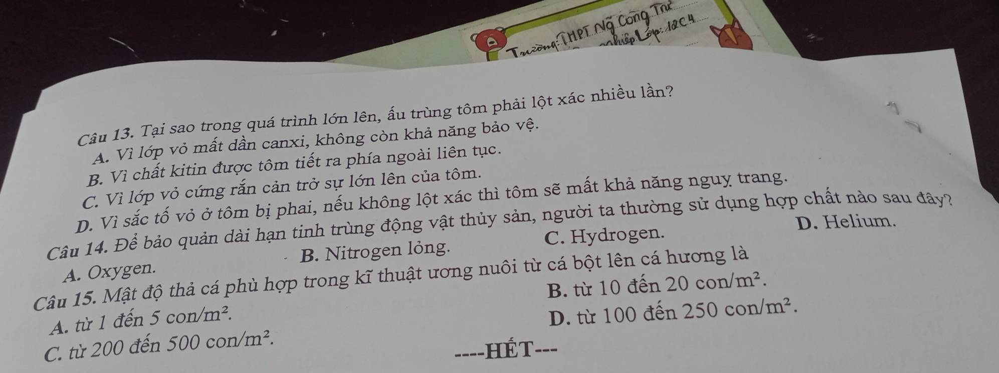 Th òng ThPT Ng Công Thứ
ập Lp 10 C 
Câu 13. Tại sao trong quá trình lớn lên, ấu trùng tôm phải lột xác nhiều lần?
A. Vì lớp vỏ mất dần canxi, không còn khả năng bảo vệ.
B. Vì chất kitin được tôm tiết ra phía ngoài liên tục.
C. Vì lớp vỏ cứng rắn cản trở sự lớn lên của tôm.
D. Vì sắc tố vỏ ở tôm bị phai, nếu không lột xác thì tôm sẽ mất khả năng nguy trang.
D. Helium.
Câu 14. Để bảo quản dài hạn tinh trùng động vật thủy sản, người ta thường sử dụng hợp chất nào sau đây?
C. Hydrogen.
A. Oxygen. B. Nitrogen lỏng.
Câu 15. Mật độ thả cá phù hợp trong kĩ thuật ương nuôi từ cá bột lên cá hương là
B. từ 10 đến 20con/m^2.
A. từ 1 đến 5con/m^2.
D. từ 100 đến 250con/m^2.
C. từ 200 đến 500con/m^2. 
=---HÉT---