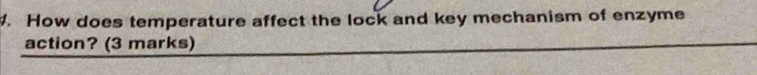 How does temperature affect the lock and key mechanism of enzyme 
action? (3 marks)