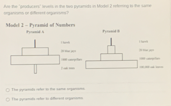 Are the "producers" levels in the two pyramids in Model 2 referring to the same 
organisms or different organisms? 
Model 2 - Pyramid of Numbers 
Pyramid A Pyramid B 
l hawk I hawk
20 blue jays 20 blue jays
1000 caterpillars 1000 caterpillars
2 nak trees 100,000 onk leaves 
The pyramids refer to the same organisms. 
The pyramids refer to different organisms.