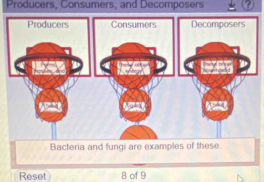 Producers, Consumers, and Decomposers 
Bacteria and fungi are examples of these. 
Reset 8 of 9