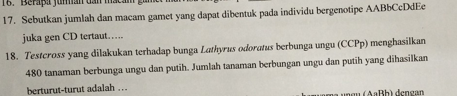 Berapa jumán dan macam 
17. Sebutkan jumlah dan macam gamet yang dapat dibentuk pada individu bergenotipe AABbCcDdEe 
juka gen CD tertaut….. 
18. Testcross yang dilakukan terhadap bunga Lathyrus odoratus berbunga ungu (CCPp) menghasilkan
480 tanaman berbunga ungu dan putih. Jumlah tanaman berbungan ungu dan putih yang dihasilkan 
berturut-turut adalah …