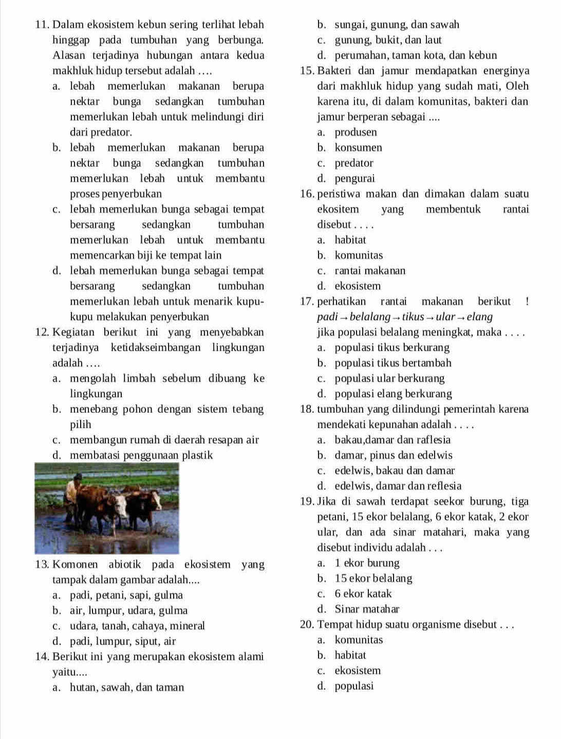 Dalam ekosistem kebun sering terlihat lebah b. sungai, gunung,dan sawah
hinggap pada tumbuhan yang berbunga. c. gunung, bukit, dan laut
Alasan terjadinya hubungan antara kedua d. perumahan, taman kota, dan kebun
makhluk hidup tersebut adalah …. 15. Bakteri dan jamur mendapatkan energinya
a. lebah memerlukan makanan berupa dari makhluk hidup yang sudah mati, Oleh
n ektar b un ga s ed an g k an t um bu ha n karena itu, di dalam komunitas, bakteri dan
memerlukan lebah untuk melindungi diri jamur berperan sebagai ....
dari predator. a. produsen
b. lebah memerlukan makanan berupa b. konsumen
n ek tar b un ga s ed ang k an  t um bu ha n c. predator
memerlukan lebah untuk membantu d. pengurai
proses penyerbukan 16. peristiwa makan dan dimakan dalam suatu
c. lebah memerlukan bunga sebagai tempat ekositem yang membentuk  rantai
bersarang sedangkan tumbuhan disebut . . . .
memer lukan lebah unt uk mem bant u a. habitat
memencarkan biji ke tempat lain b. komunitas
d. lebah memerlukan bunga sebagai tempat c. rantai makanan
bersarang sedangkan tumbuhan d. ekosistem
memerlukan lebah untuk menarik kupu- 17. perhatikan rantai makanan berikut !
kupu melakukan penyerbukan padi → belalang → tikus → ular → elang
12. Kegiatan berikut ini yang menyebabkan jika populasi belalang meningkat, maka . . . .
terjadinya ketidakseimbangan lingkungan a. populasi tikus berkurang
adalah … b. populasi tikus bertambah
a. mengolah limbah sebelum dibuang ke c. populasi ular berkurang
lingkungan d. populasi elang berkurang
b. menebang pohon dengan sistem tebang 18. tumbuhan yang dilindungi pemerintah karena
pilih mendekati kepunahan adalah . . . .
c. membangun rumah di daerah resapan air a. bakau,damar dan raflesia
d. membatasi penggunaan plastik b. damar, pinus dan edelwis
c. edelwis, bakau dan damar
d. edelwis, damar dan reflesia
19. Jika di sawah terdapat seekor burung, tiga
petani, 15 ekor belalang, 6 ekor katak, 2 ekor
ular, dan ada sinar matahari, maka yang
disebut individu adalah . . .
13. Komonen abiotik pada ekosistem yang a. 1 ekor burung
tampak dalam gambar adalah.... b. 15 ekorbelalang
a. padi, petani, sapi, gulma c. 6 ekor katak
b. air, lumpur, udara, gulma d. Sinar matahar
c. udara, tanah,cahaya, mineral 20. Tempat hidup suatu organisme disebut . . .
d. padi, lumpur, siput, air a. komunitas
14. Berikut ini yang merupakan ekosistem alami b. habitat
yaitu.... c. ekosistem
a. hutan, sawah, dan taman d. populasi