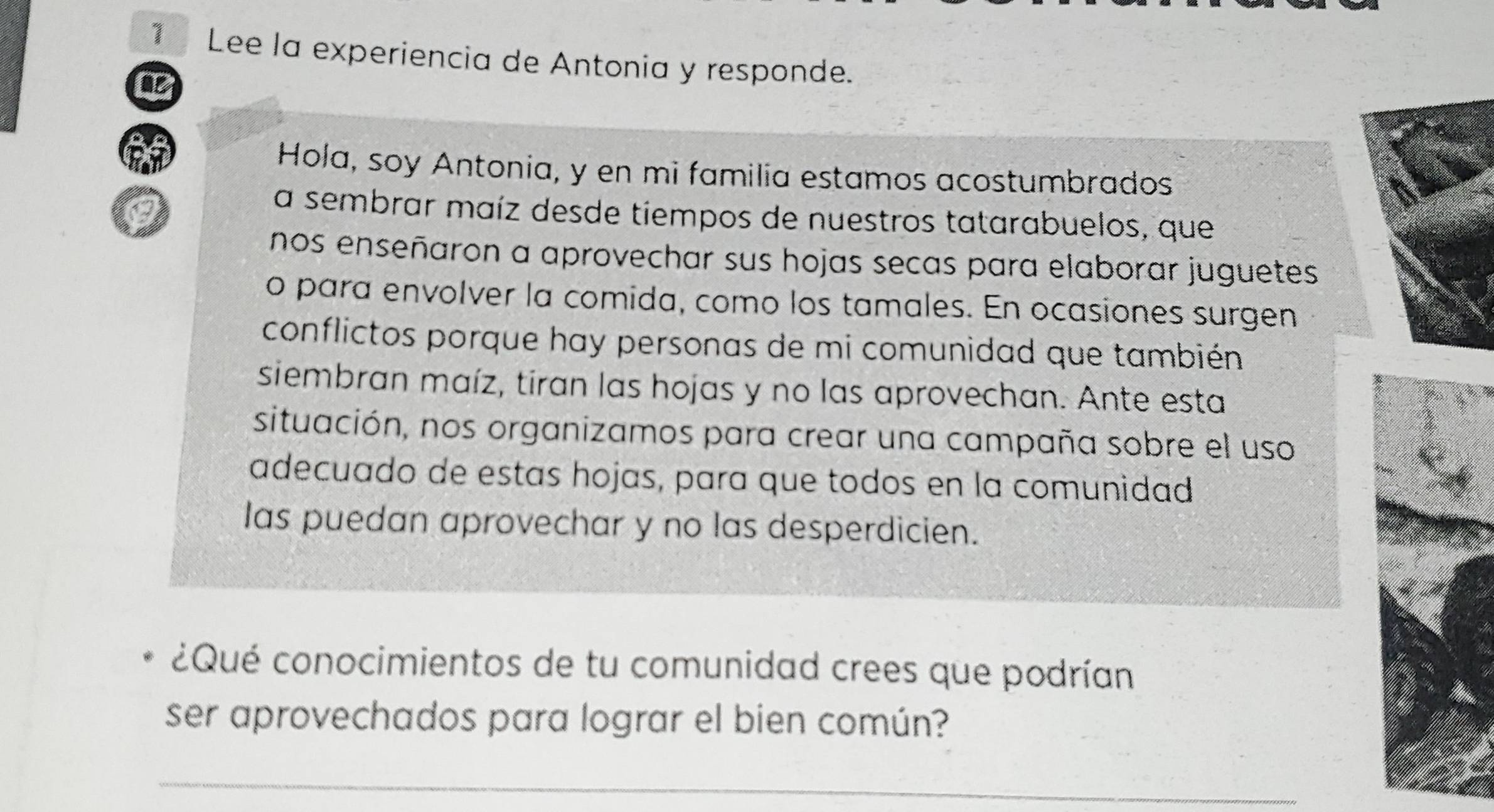 Lee la experiencia de Antonia y responde. 
Hola, soy Antonia, y en mi familia estamos acostumbrados 
a sembrar maíz desde tiempos de nuestros tatarabuelos, que 
nos enseñaron a aprovechar sus hojas secas para elaborar juguetes 
o para envolver la comida, como los tamales. En ocasiones surgen 
conflictos porque hay personas de mi comunidad que también 
siembran maíz, tiran las hojas y no las aprovechan. Ante esta 
situación, nos organizamos para crear una campaña sobre el uso 
adecuado de estas hojas, para que todos en la comunidad 
las puedan aprovechar y no las desperdicien. 
¿Qué conocimientos de tu comunidad crees que podrían 
ser aprovechados para lograr el bien común? 
_