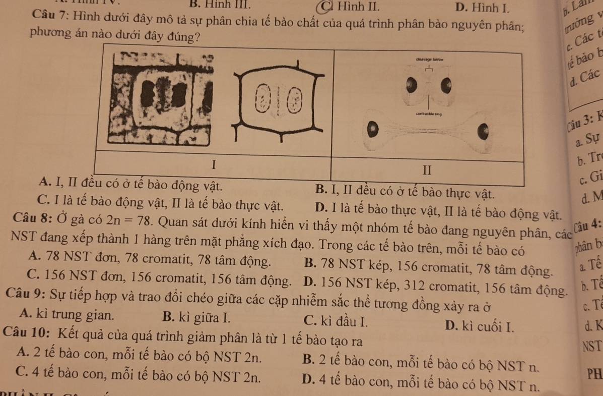 B. Hình III. C. Hình II. D. Hình I. h Lall
Câu 7: Hình dưới đây mô tả sự phân chia tế bào chất của quá trình phân bào nguyên phân; trưởng 
phương án nào dưới đây đúng?
Các t
tế bào b
d. Các
0.0
Câu 3:
a. Sự
I
b. Tr
c. Gi
A. I, II đều có ở tế bào động vật. B. I, II đều có ở tế bào thực vật.
d. M
C. I là tế bào động vật, II là tế bào thực vật. D. I là tế bào thực vật, II là tế bào động vật.
Câu 8: Ở gà có 2n=78. Quan sát dưới kính hiển vi thấy một nhóm tế bào đang nguyên phân, các
Câu 4:
NST đang xếp thành 1 hàng trên mặt phẳng xích đạo. Trong các tế bào trên, mỗi tế bào có phân b
A. 78 NST đơn, 78 cromatit, 78 tâm động. B. 78 NST kép, 156 cromatit, 78 tâm động.
a. Tế
C. 156 NST đơn, 156 cromatit, 156 tâm động. D. 156 NST kép, 312 cromatit, 156 tâm động.
b. Tế
Câu 9: Sự tiếp hợp và trao đồi chéo giữa các cặp nhiễm sắc thể tương đồng xảy ra ở c. Tê
A. kì trung gian. B. kì giữa I. C. kì đầu I. D. kì cuối I.
d. K
Câu 10: Kết quả của quá trình giảm phân là từ 1 tế bào tạo ra
NST
A. 2 tế bào con, mỗi tế bào có bộ NST 2n. B. 2 tế bào con, mỗi tế bào có bộ NST n. PH
C. 4 tế bào con, mỗi tế bào có bộ NST 2n. D. 4 tế bào con, mỗi tế bào có bộ NST n.