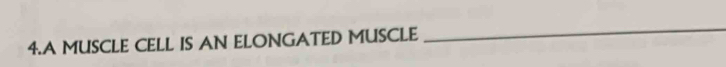 A MUSCLE CELL IS AN ELONGATED MUSCLE 
_