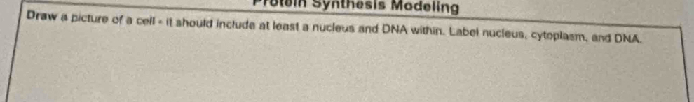 Protein Synthesis Modeling 
Draw a picture of a cell - it should include at least a nucleus and DNA within. Label nucleus, cytoplasm, and DNA.