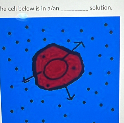 he cell below is in a/an _solution.