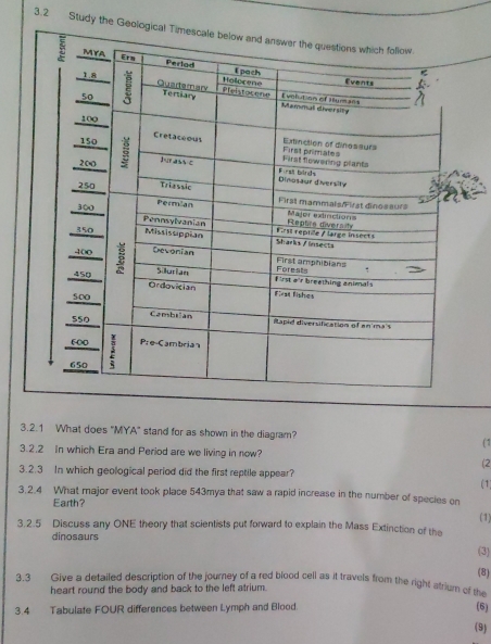 3.2 Study the 
3.2.1 What does "MYA" stand for as shown in the diagram? (1 
3.2.2 In which Era and Period are we living in now? 
(2 
3.2.3 In which geological period did the first reptile appear? 
(1 
3.2.4 What major event took place 543mya that saw a rapid increase in the number of species on 
Earth? 
(1) 
3.2.5 Discuss any ONE theory that scientists put forward to explain the Mass Extinction of the 
dinosaurs 
(3) 
(8) 
3.3 Give a detailed description of the journey of a red blood cell as it travels from the right strium of the 
heart round the body and back to the left atrium. 
3.4 Tabulate FOUR differences between Lymph and Blood. (6) 
(9)