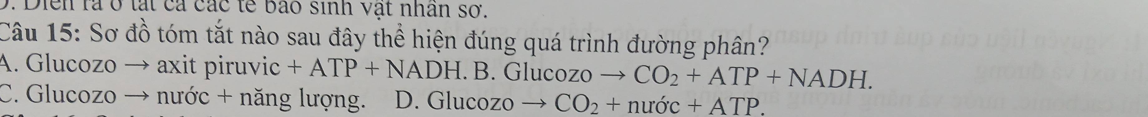 Diễn rà ở tái cá các tễ bảo sinh vật nhân sơ.
Câu 15: Sơ đồ tóm tắt nào sau đây thể hiện đúng quá trình đường phân?
A. Glucozo → axit piruvic +ATP+NADH.B. Glucozo _ CO_2+ATP+NADH.
C. Glucozo → nước + năng lượng. D. Glucozo → CO_2+nudc+ATP.