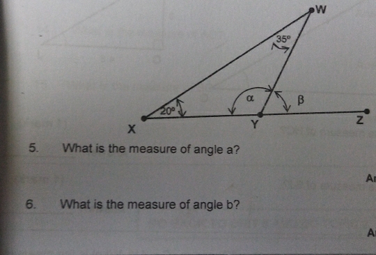 Ar
6. What is the measure of angle b?
A