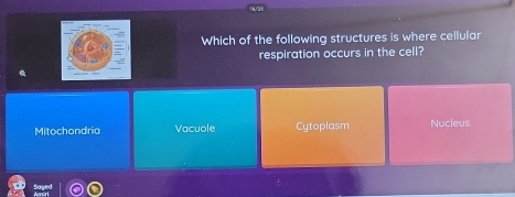 Which of the following structures is where cellular
respiration occurs in the cell?
Mitochondria Vacuole Cytoplasm Nucleus