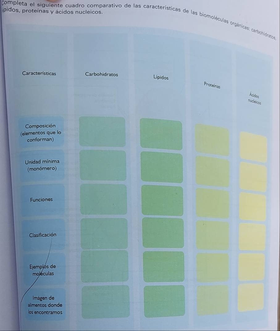 pidos, proteínas y ácidos nucleicos. 
Completa el siguiente cuadro comparativo de las características de las biomidratos