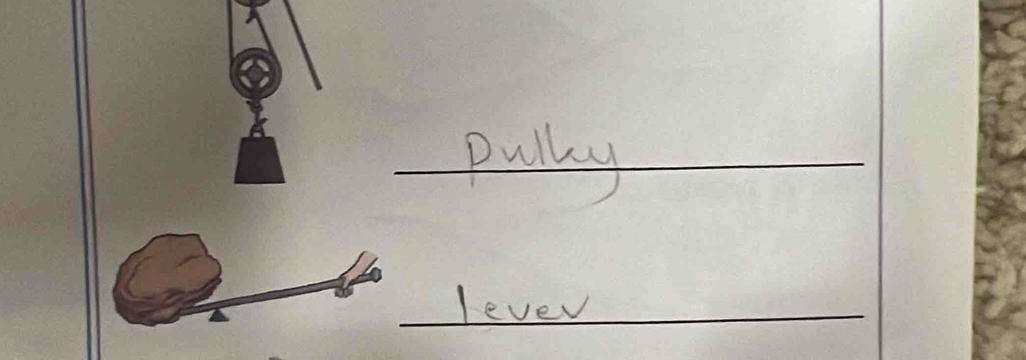 pully 
_lever