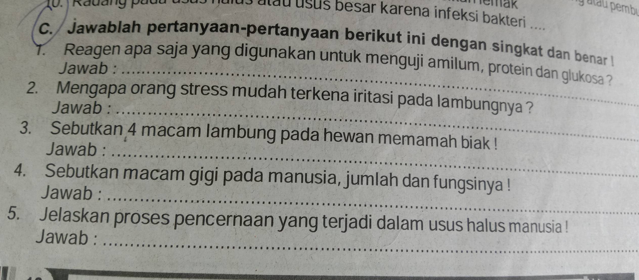 0 . Rauang pát 
memak 
g atau pembi 
u e a t u u s us besar karena infeksi bakteri .... 
C. Jawablah pertanyaan-pertanyaan berikut ini dengan singkat dan benar l 
7. Reagen apa saja yang digunakan untuk menguji amilum, protein dan glukosa ? 
Jawab : 
2. Mengapa orang stress mudah terkena iritasi pada lambungnya ? 
Jawab :_ 
_ 
3. Sebutkan 4 macam lambung pada hewan memamah biak ! 
Jawab : 
_ 
4. Sebutkan macam gigi pada manusia, jumlah dan fungsinya ! 
Jawab : 
_ 
5. Jelaskan proses pencernaan yang terjadi dalam usus halus manusia ! 
Jawab :