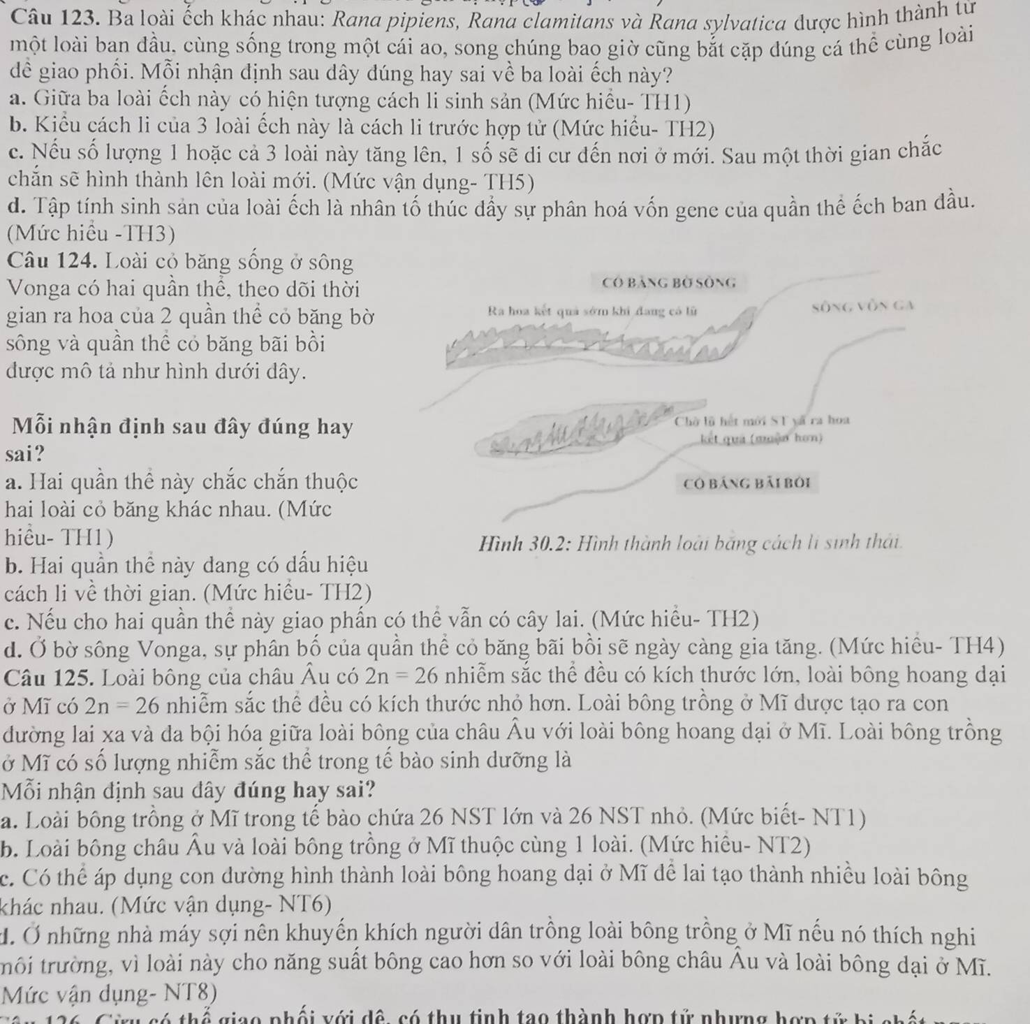 Ba loài ếch khác nhau: Rana pipiens, Rana clamitans và Rana sylvatica được hình thành từ
một loài ban đầu, cùng sống trong một cái ao, song chúng bao giờ cũng bắt cặp dúng cá thể cùng loài
dể giao phối. Mỗi nhận định sau dây đúng hay sai về ba loài ếch này?
a. Giữa ba loài ếch này có hiện tượng cách li sinh sản (Mức hiểu- TH1)
b. Kiểu cách li của 3 loài ếch này là cách li trước hợp tử (Mức hiểu- TH2)
c. Nếu số lượng 1 hoặc cả 3 loài này tăng lên, 1 số sẽ di cư đến nơi ở mới. Sau một thời gian chắc
chắn sẽ hình thành lên loài mới. (Mức vận dụng- TH5)
d. Tập tính sinh sản của loài ếch là nhân tố thúc đầy sự phân hoá vốn gene của quần thể ếch ban đầu.
(Mức hiểu -TH3)
Câu 124. Loài cỏ băng sống ở sông
Vonga có hai quần thể, theo dõi thời
Có Bảng bờ sông
gian ra hoa của 2 quần thể cỏ băng bờ Sông vòn ga
Ra hoa kết quả sớm khi đang có lù
sông và quần thể có băng bãi bồi
được mô tả như hình dưới dây.
Mỗi nhận định sau đây đúng hay Chờ lũ hết mới ST vã ra hoa
kết quả (muàn hơn)
sai?
a. Hai quần thể này chắc chắn thuộc Có bảng bải bởi
hai loài cỏ băng khác nhau. (Mức
hiệu- TH1)  Hình 30.2: Hình thành loài bãng cách li sinh thái.
b. Hai quần thể này dang có dấu hiệu
cách li về thời gian. (Mức hiều- TH2)
c. Nếu cho hai quần thể này giao phần có thể vẫn có cây lai. (Mức hiểu- TH2)
d. Ở bờ sông Vonga, sự phân bố của quần thể cỏ băng bãi bồi sẽ ngày càng gia tăng. (Mức hiều- TH4)
Câu 125. Loài bông của châu Âu có 2n=26 nhiễm sắc thể đều có kích thước lớn, loài bông hoang dại
ở Mĩ có 2n=26 nhiễm sắc thể đều có kích thước nhỏ hơn. Loài bông trồng ở Mĩ dược tạo ra con
đường lai xa và da bội hóa giữa loài bông của châu Âu với loài bông hoang dại ở Mĩ. Loài bông trồng
ở Mĩ có số lượng nhiễm sắc thể trong tế bào sinh dưỡng là
Mỗi nhận định sau dây đúng hay sai?
a. Loài bông trồng ở Mĩ trong tế bào chứa 26 NST lớn và 26 NST nhỏ. (Mức biết- NT1)
b. Loài bông châu Âu và loài bông trồng ở Mĩ thuộc cùng 1 loài. (Mức hiều- NT2)
c. Có thể áp dụng con dường hình thành loài bông hoang dại ở Mĩ đề lai tạo thành nhiều loài bông
khác nhau. (Mức vận dụng- NT6)
. Ở những nhà máy sợi nên khuyến khích người dân trồng loài bông trồng ở Mĩ nếu nó thích nghi
trôi trường, vì loài này cho năng suất bông cao hơn so với loài bông châu Âu và loài bông dại ở Mĩ.
Mức vận dụng- NT8)
có  thể giao phối với dề, có thu tinh tạo thành hợp tử nhưng hợp tử bị ch