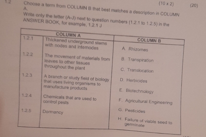 (10 x2) (20) 
A. 
1.2 Choose a term from COLUMN B that best matches a description in COLUMN 
Write only the letter (A-J) next to question numbers (1.2.1 to 1.2.5) 
ANSWER BOOK, for exam