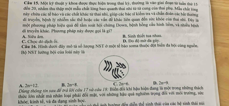 Một kỹ thuật y khoa được thực hiện trong thai kỳ, thường là vào giai đoạn từ tuần thứ 15
đến 20, nhằm thu thập một mẫu chất lỏng bao quanh thai nhi từ tử cung của thai phụ. Mẫu chất lỏng
này chứa các tế bào và các chất khác từ thai nhi, giúp các bác sĩ kiểm tra và chẩn đoán các bắt thường
di truyền, bệnh lý nhiễm sắc thể hoặc các vấn đề khác liên quan đến sức khỏe của thai nhi. Đây là
một phương pháp hiệu quả để tầm soát hội chứng Down, bệnh hồng cầu hình liềm, và nhiều bệnh
di truyền khác. Phương pháp này được gọi là gì?
A. Siêu âm. B. Sinh thiết tua nhau.
C. Chọc dò dịch ối. D. Đo độ mờ da gáy.
Câu 16. Hình dưới đây mô tả số lượng NST ở một tế bào soma thuộc đột biến đa bội cùng nguồn.
Bộ NST lưỡng bội của loài này là
A. 2n=12. B. 2n=8. C. 2n=6. D. 2n=9. 
Dùng thông tin sau để trả lời câu 17 và câu 18: Biến đổi khí hậu hiện đang là một trong những thách
thức lớn nhất mà nhân loại phải đối mặt, với những hậu quả nghiêm trọng đối với môi trường, sức
khỏe, kinh tế, và đa dạng sinh học.
cầu có thể ảnh hưởng đến diễn thể sinh thái của các hệ sinh thái núi