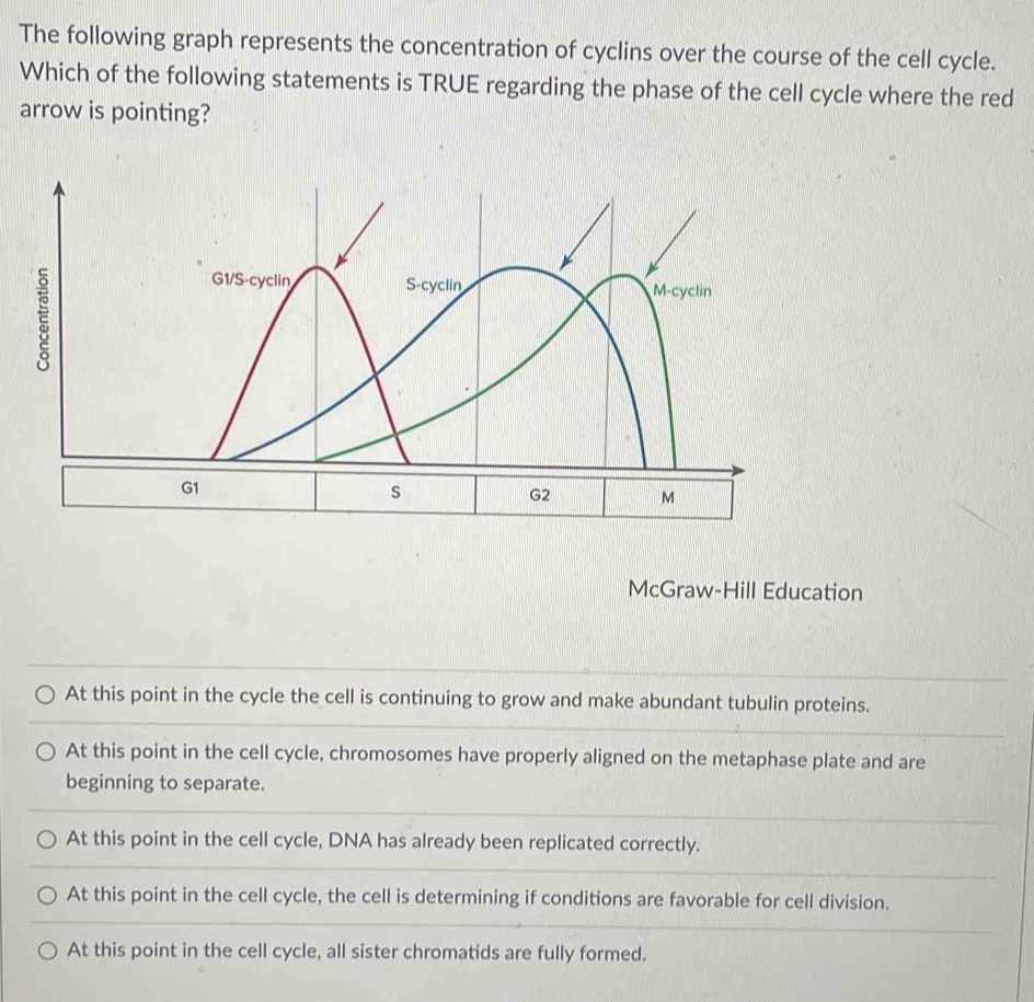 Solved: The following graph represents the concentration of cyclins ...