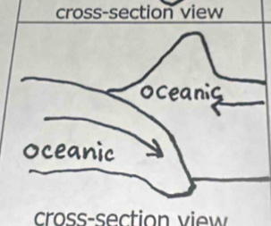 cross-section view 
cross-section view