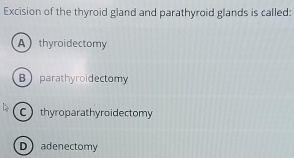 Excision of the thyroid gland and parathyroid glands is called:
Athyroidectomy
Bparathyroidectomy
Cthyroparathyroidectomy
Dadenectomy