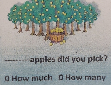 apples did you pick?
0 How much 0 How many