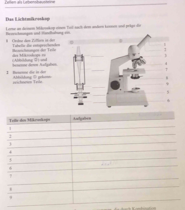 Zellen als Lebensbausteine 
Das Lichtmikroskop 
Lerne an deinem Mikroskop einen Teil nach dem andern kennen und präge dir 
Bezeichnungen und Handhabun 
1 Ordne den Ziffern in der 
Tabelle die entsprechenden 
Bezeichnungen der Teile 
des Mikroskops zu 
(Abbildung ②) und 
benenne deren Aufgaben. 
2 Benenne die in der 
Abbildung ① gekenn- 
zeichneten Teile. 
ie rc ombination