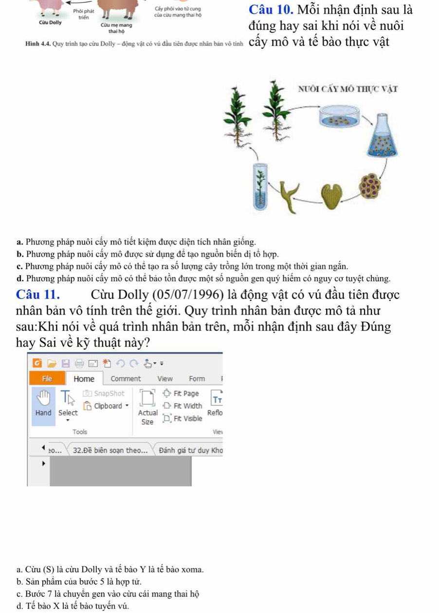 Mỗi nhận định sau là
đúng hay sai khi nói về nuôi
Hình 4.4. Quy trình tạo cừu Dolly - động vật có vú đầu tiên được nhân bản vô tính cấy mô và tế bào thực vật
a. Phương pháp nuôi cấy mô tiết kiệm được diện tích nhân giống.
b. Phương pháp nuôi cấy mô được sử dụng để tạo nguồn biến dị tổ hợp.
c. Phương pháp nuôi cấy mô có thể tạo ra số lượng cây trồng lớn trong một thời gian ngắn.
d. Phương pháp nuôi cấy mô có thể bảo tồn được một số nguồn gen quý hiếm có nguy cơ tuyệt chủng.
Câu 11. Cừu Dolly (05/07/1996) là động vật có vú đầu tiên được
nhân bản vô tính trên thế giới. Quy trình nhân bản được mô tả như
sau:Khi nói về quá trình nhân bản trên, mỗi nhận định sau đây Đúng
hay Sai về kỹ thuật này?
File Home Comment View Form
* SnapShot Fit Page
Tt
Hand Select Clipboard Fit Width Reflo
Actual D Fit Visible
Size
Tools Vies
30.. 32.Đề biên soạn theo... Đánh giá tư duy Kho
a. Cừu (S) là cừu Dolly và tế bào Y là tế bào xoma.
b. Sản phẩm của bước 5 là hợp tử.
c. Bước 7 là chuyền gen vào cừu cái mang thai hộ
d. Tế bào X là tế bào tuyến vú.