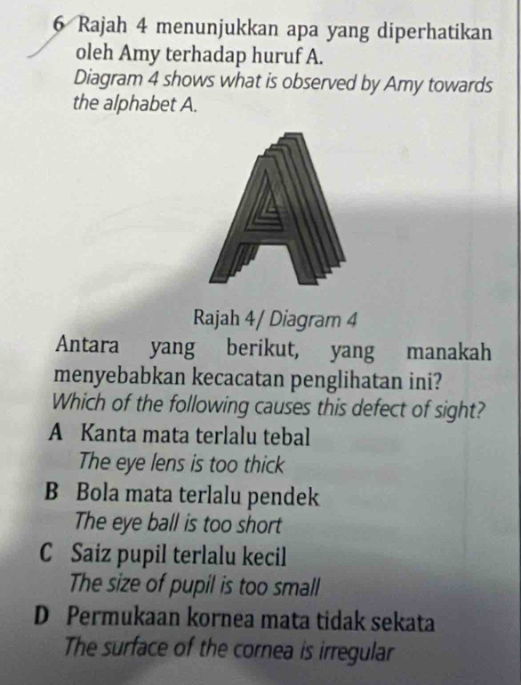 Rajah 4 menunjukkan apa yang diperhatikan
oleh Amy terhadap huruf A.
Diagram 4 shows what is observed by Amy towards
the alphabet A.
Rajah 4/ Diagram 4
Antara yang berikut, yang manakah
menyebabkan kecacatan penglihatan ini?
Which of the following causes this defect of sight?
A Kanta mata terlalu tebal
The eye lens is too thick
B Bola mata terlalu pendek
The eye ball is too short
C Saiz pupil terlalu kecil
The size of pupil is too small
D Permukaan kornea mata tidak sekata
The surface of the cornea is irregular