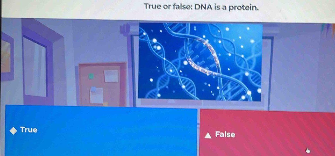 True or false: DNA is a protein.
True
False