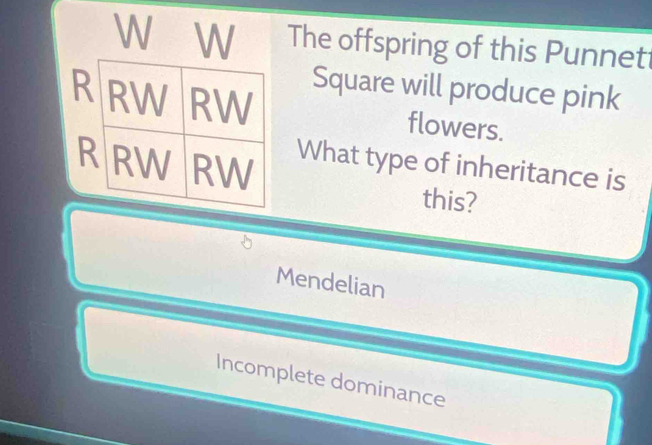 The offspring of this Punnet
Square will produce pink
flowers.
What type of inheritance is
this?
Mendelian
Incomplete dominance