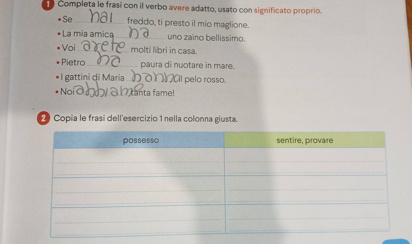 Completa le frasi con il verbo avere adatto, usato con significato proprio. 
Se _freddo, ti presto il mio maglione. 
La mia amica_ uno zaino bellissimo. 
Voi_ molti libri in casa. 
Pietro _paura di nuotare in mare. 
Il gattini di Maria _pelo rosso. 
i 
Noi_ tanta fame! 
2) Copia le frasi dell’esercizio 1 nella colonna giusta.