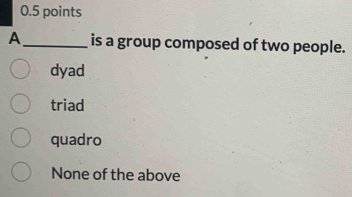 A_ is a group composed of two people.
dyad
triad
quadro
None of the above