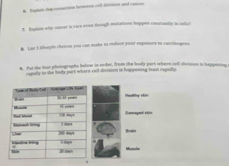 Explain the connection between cell division and cancer. 
7. Explain why cancer is rare even though mutations happen constantly in cells? 
8. List 3 lifestyle choices you can make to reduce your exposure to carcinogens. 
9. Put the four photographs below in order, from the body part where cell division is happening 
rapidly to the body part where cell division is happening least rapidly. 
Healthy skin 
Damaged skin 
0 
Brain 
Muscle